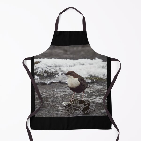 Item preview, Deep thoughts. White-throated dipper designed and sold by Jouko Lehto Photography.