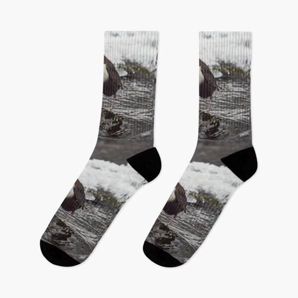 Item preview, Deep thoughts. White-throated dipper designed and sold by Jouko Lehto Photography.