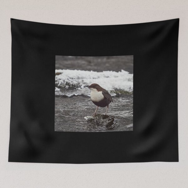 Item preview, Deep thoughts. White-throated dipper designed and sold by Jouko Lehto Photography.