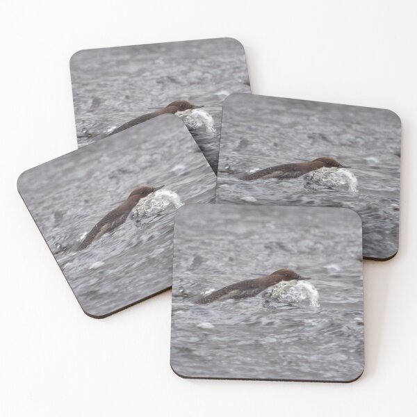 Item preview, Rolling the river. White-throated dipper designed and sold by Jouko Lehto Photography.