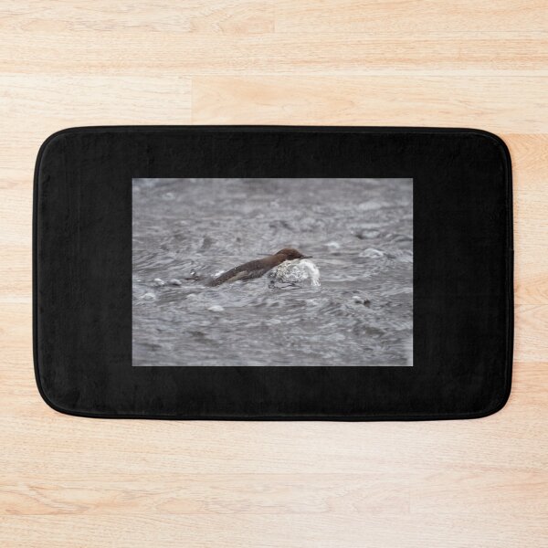 Item preview, Rolling the river. White-throated dipper designed and sold by Jouko Lehto Photography.