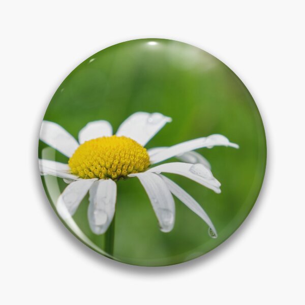 Item preview, Chamomile flower with dewdrops designed and sold by Melissa Peltenburg.