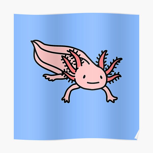 Blue Axolotl Posters Redbubble