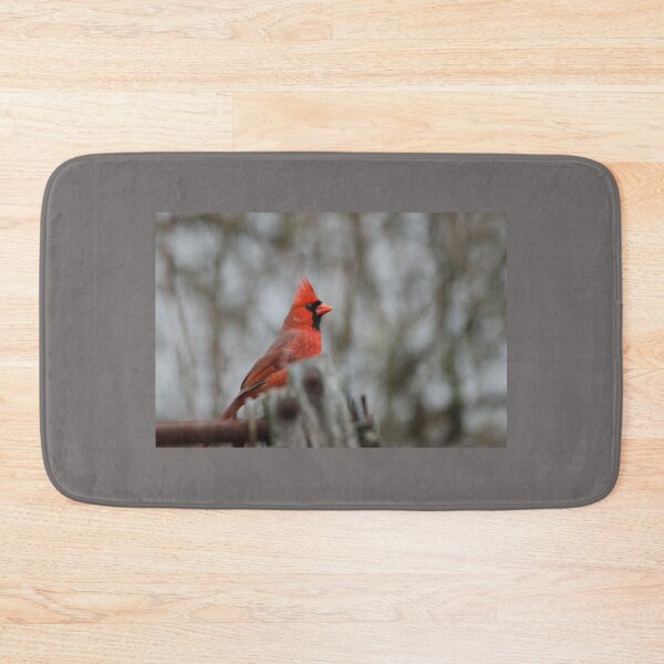 Item preview, Northern Cardinal (Cardinalis cardinalis) male designed and sold by rodmacpherson.