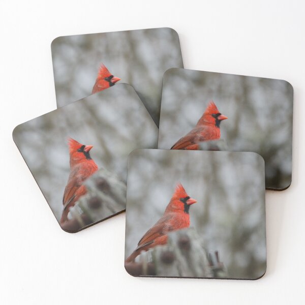 Item preview, Northern Cardinal (Cardinalis cardinalis) male designed and sold by rodmacpherson.