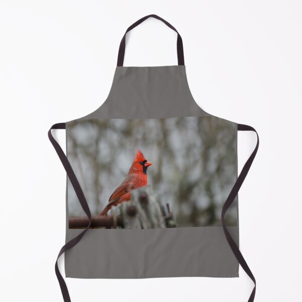 Item preview, Northern Cardinal (Cardinalis cardinalis) male designed and sold by rodmacpherson.