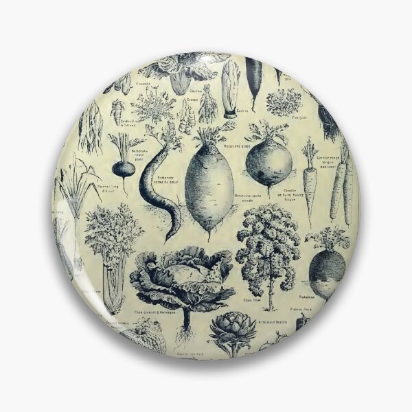 Item preview, Varieties of Legumes chart poster art - Adolphe Millot  designed and sold by Vintage Designs +.
