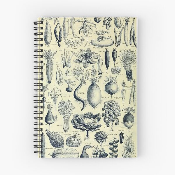 Item preview, Varieties of Legumes chart poster art - Adolphe Millot  designed and sold by Vintage Designs +.