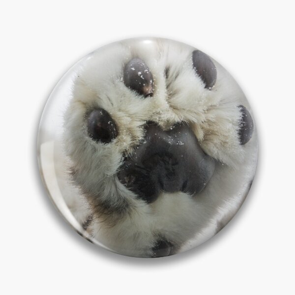 Item preview, The snow leopard's paw designed and sold by Ingo Gerlach.