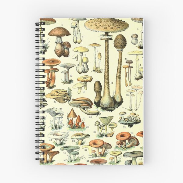 Item preview, Varieties of Mushrooms and Toadstools chart poster art - Adolphe Millot  designed and sold by Vintage Designs +.