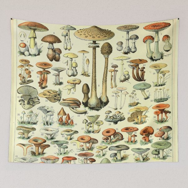 Item preview, Varieties of Mushrooms and Toadstools chart poster art - Adolphe Millot  designed and sold by Vintage Designs +.