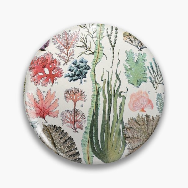 Item preview, Varieties of Seaweed chart poster art - Adolphe Millot  designed and sold by Vintage Designs +.
