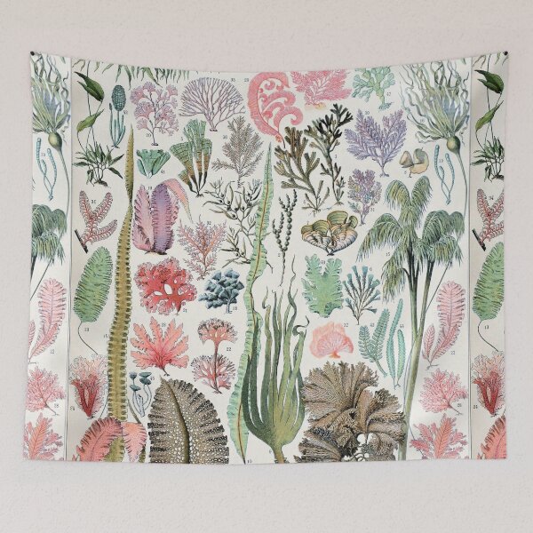 Item preview, Varieties of Seaweed chart poster art - Adolphe Millot  designed and sold by Vintage Designs +.