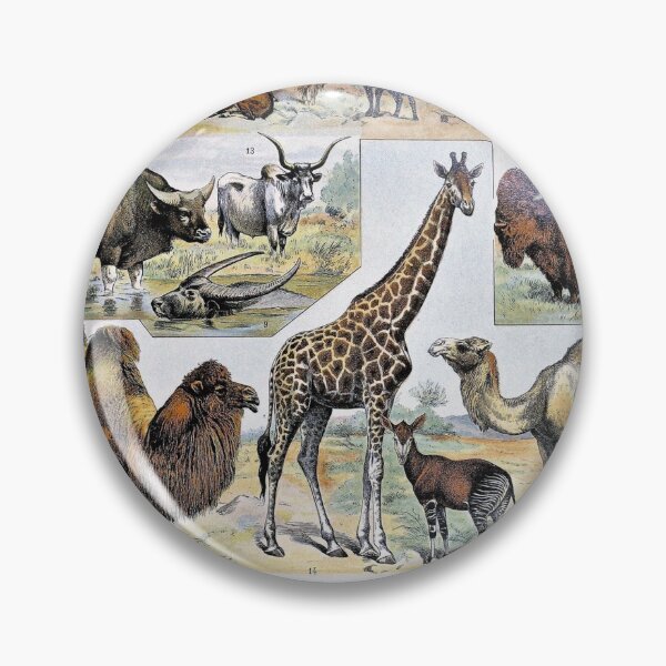 Item preview, Species of Mammal chart poster art - Adolphe Millot  designed and sold by Vintage Designs +.