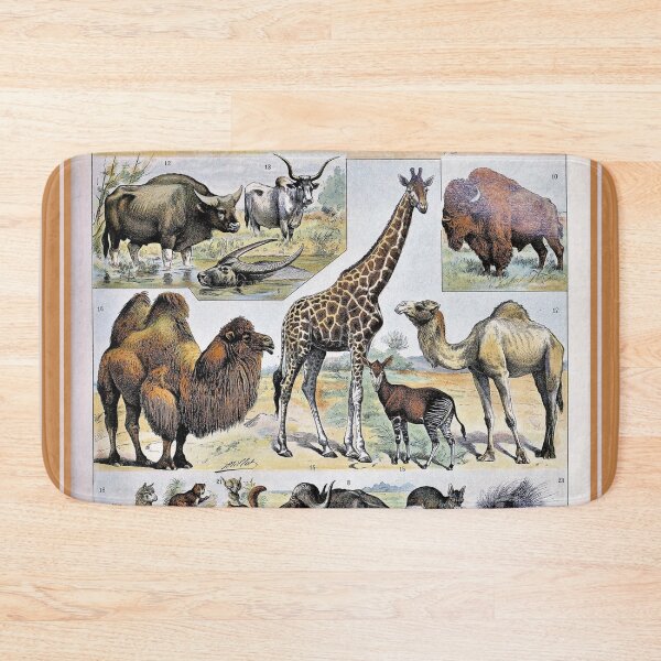 Item preview, Species of Mammal chart poster art - Adolphe Millot  designed and sold by Vintage Designs +.