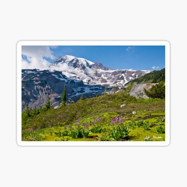 Moss and Shooting Star on the Nisqually Moraine Sticker