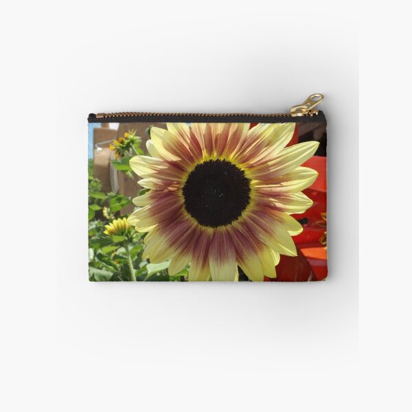 Artikelvorschau, Sonnenblume-Nahaufnahme, Santa Fe, New Mexiko entworfen und verkauft von lenspiro.