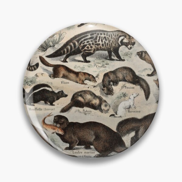 Item preview,  Species of Furry mammals chart poster art - Adolphe Millot  designed and sold by Vintage Designs +.