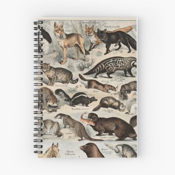 Item preview,  Species of Furry mammals chart poster art - Adolphe Millot  designed and sold by Vintage Designs +.