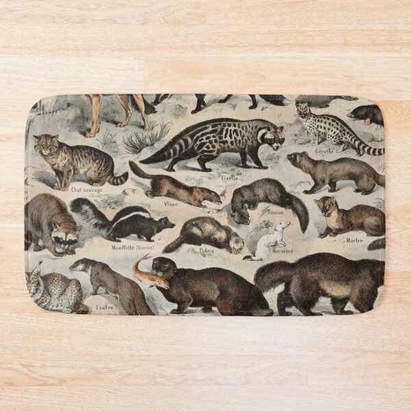 Item preview,  Species of Furry mammals chart poster art - Adolphe Millot  designed and sold by Vintage Designs +.