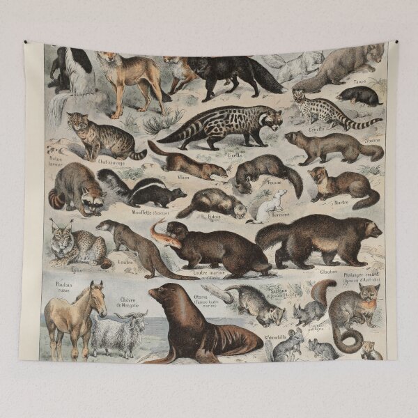 Item preview,  Species of Furry mammals chart poster art - Adolphe Millot  designed and sold by Vintage Designs +.
