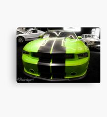 Mustang Love Canvas Print