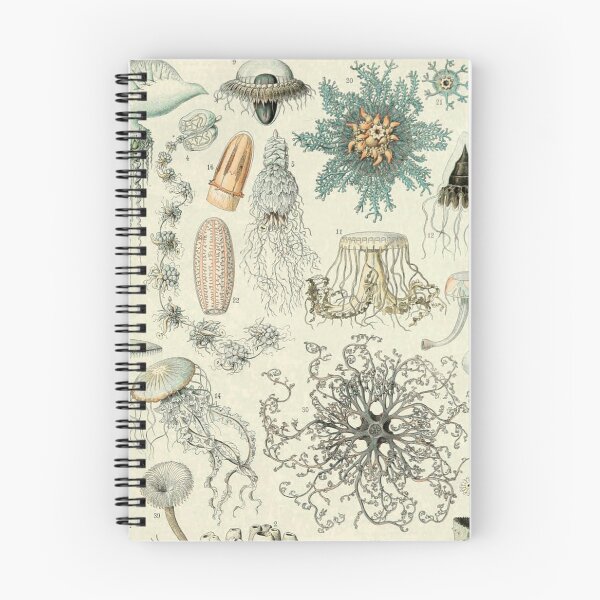Item preview, Varieties of Ocean life chart poster art - Adolphe Millot  designed and sold by Vintage Designs +.