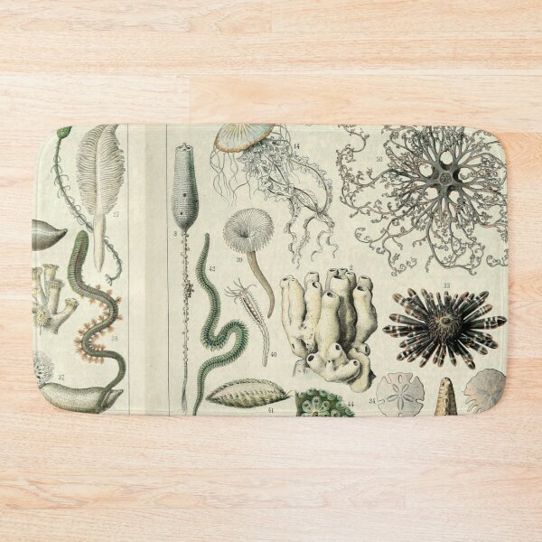 Item preview, Varieties of Ocean life chart poster art - Adolphe Millot  designed and sold by Vintage Designs +.