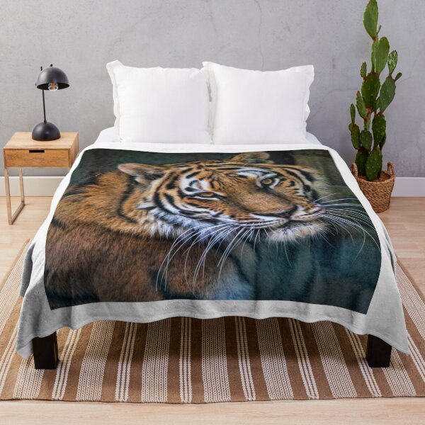 Item preview, Curious Tiger designed and sold by Daisy Bird Shoppe.