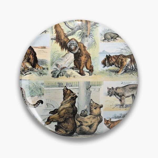 Item preview, Species of mammals chart poster art - Adolphe Millot  designed and sold by Vintage Designs +.