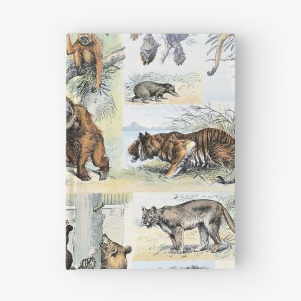 Item preview, Species of mammals chart poster art - Adolphe Millot  designed and sold by Vintage Designs +.