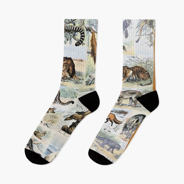 Item preview, Species of mammals chart poster art - Adolphe Millot  designed and sold by Vintage Designs +.