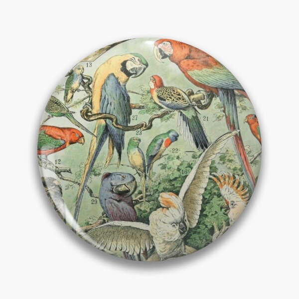 Item preview, Species of Birds chart poster art - Adolphe Millot  designed and sold by Vintage Designs +.