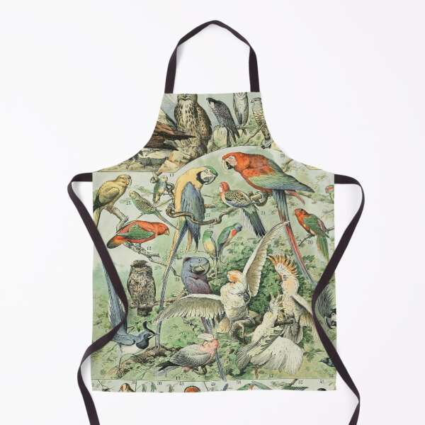 Item preview, Species of Birds chart poster art - Adolphe Millot  designed and sold by Vintage Designs +.