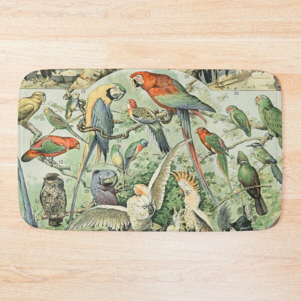 Item preview, Species of Birds chart poster art - Adolphe Millot  designed and sold by Vintage Designs +.