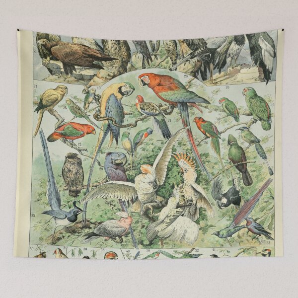 Item preview, Species of Birds chart poster art - Adolphe Millot  designed and sold by Vintage Designs +.