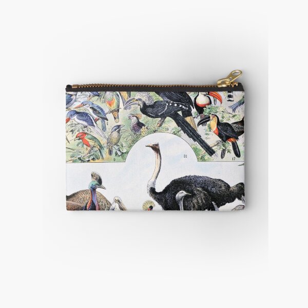 Item preview, Species of Birds chart poster art - Adolphe Millot  designed and sold by Vintage Designs +.