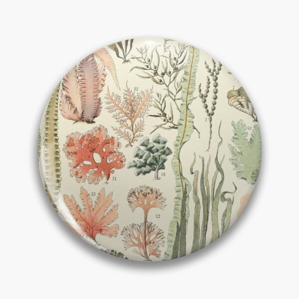 Item preview,  Varieties of Seaweed chart poster art - Adolphe Millot  designed and sold by Vintage Designs +.