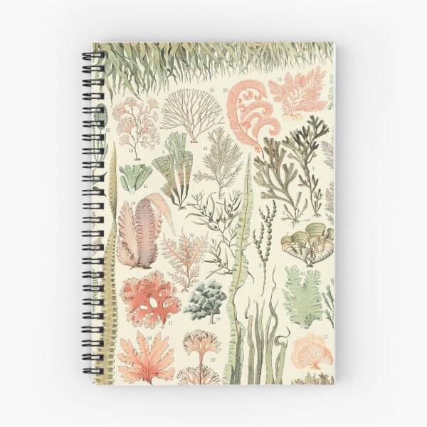 Item preview,  Varieties of Seaweed chart poster art - Adolphe Millot  designed and sold by Vintage Designs +.