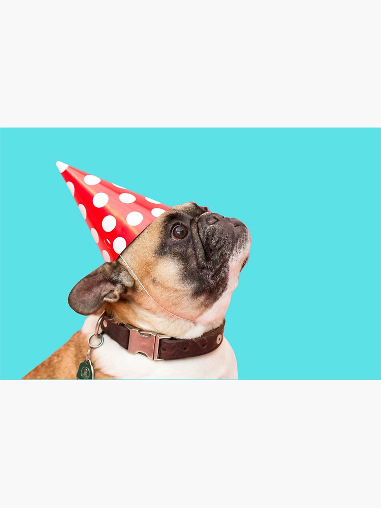 "Funny Dog With Birthday Hat Design " Sticker by LimbroGraphics Redbubble