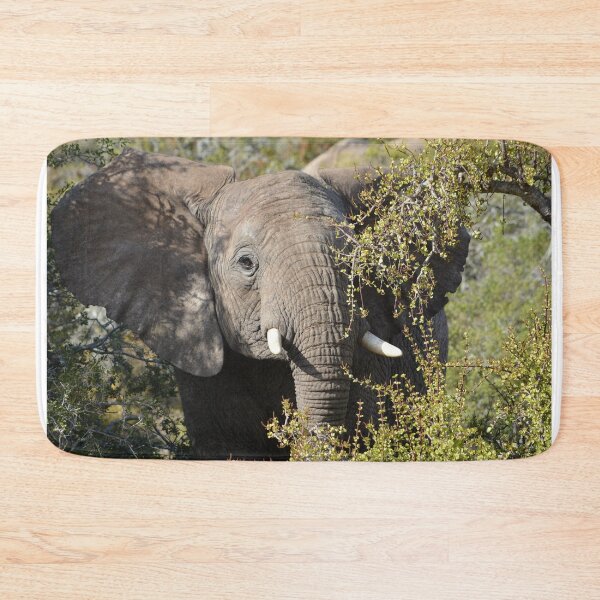 Item preview, Young elephant in the trees designed and sold by Roy-Babiuk.