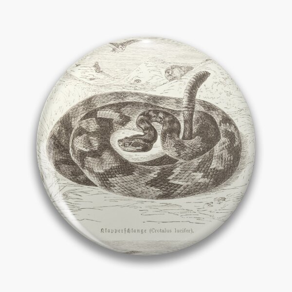Item preview, Dibujo de serpiente de cascabel vintage designed and sold by AJS-Designs.