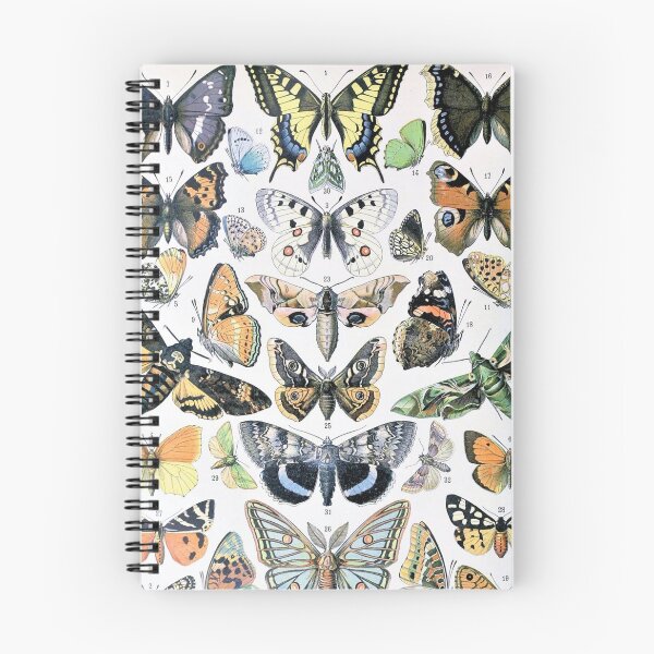 Item preview, Varieties Butterfly chart poster art - Adolphe Millot  designed and sold by Vintage Designs +.