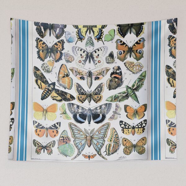 Item preview, Varieties Butterfly chart poster art - Adolphe Millot  designed and sold by Vintage Designs +.