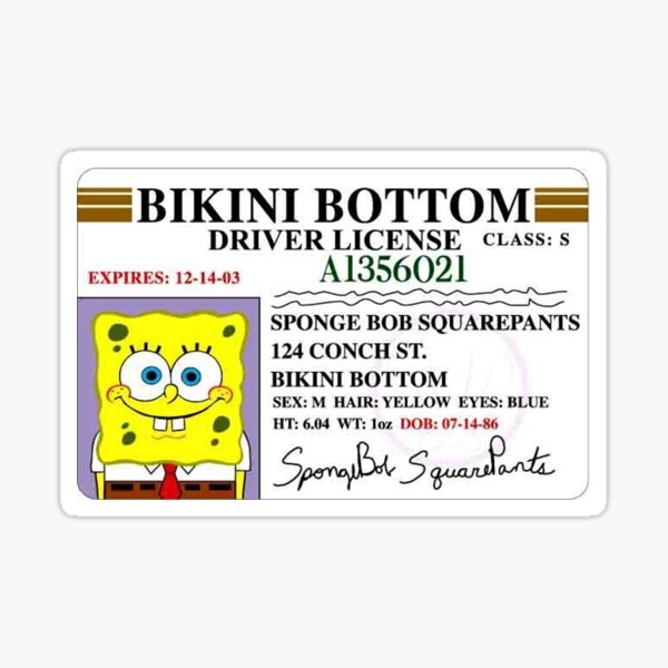 spongebob moletom com capuz driver's license
