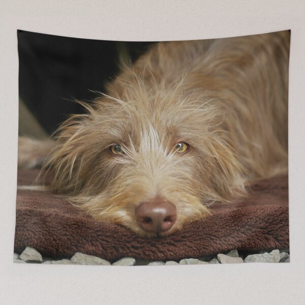 Item preview, Lazy Lurcher designed and sold by Fay Freshwater.