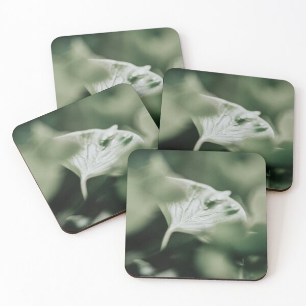 Item preview, Close-up of fresh green leaves designed and sold by Melissa Peltenburg.