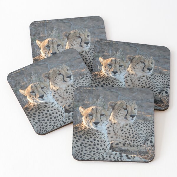 Item preview, Two cheetahs designed and sold by Roy-Babiuk.