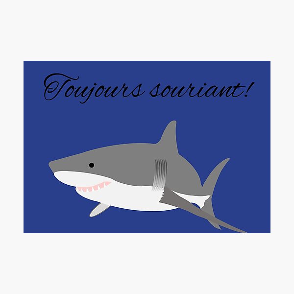 Impressions Photo Sur Le Theme Grand Requin Blanc Redbubble