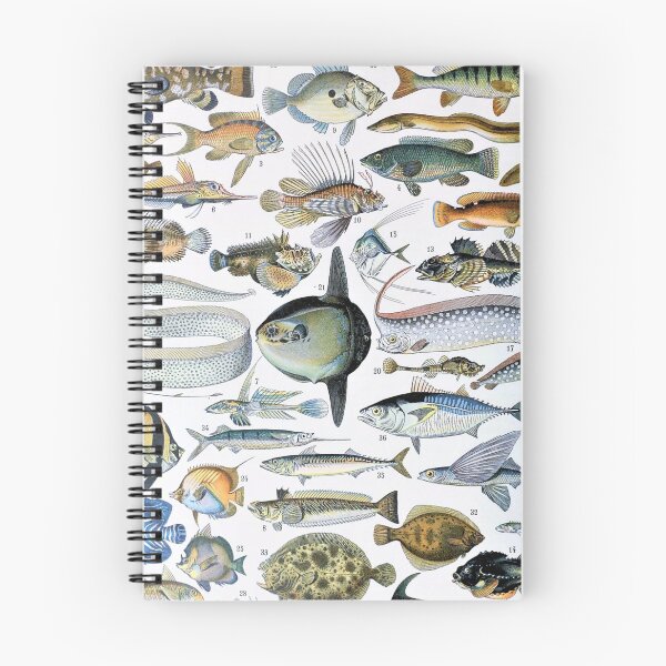Item preview,  Varieties of Fish chart poster art - Adolphe Millot  designed and sold by Vintage Designs +.